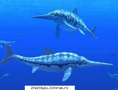 Era dinozaurilor - Nume: Ophthalmosaurus (Off-THAL-moh-SAW-rus) - Chat Room